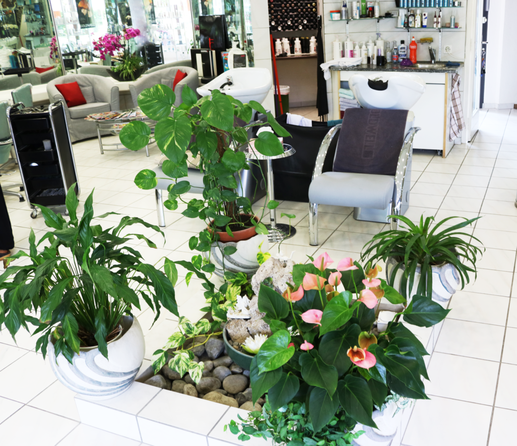 Blick in den Coiffeursalon Manuela mit Orchideen und Waschplätzen